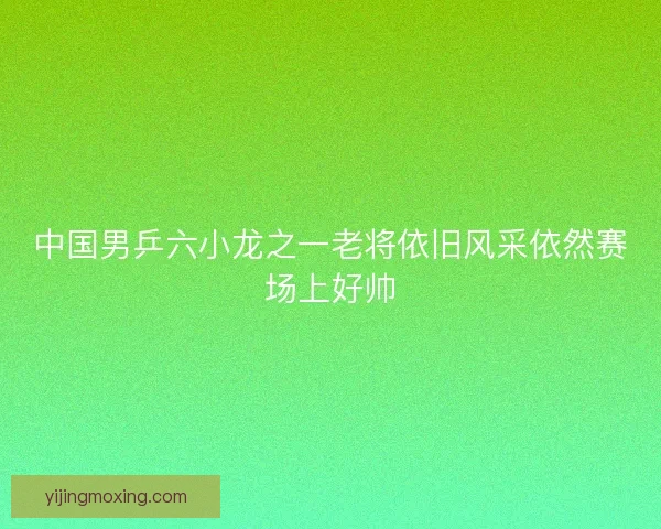 中国男乒六小龙之一老将依旧风采依然赛场上好帅